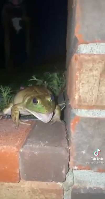 Sound on!