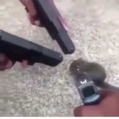 When you find that one rat in ranked.