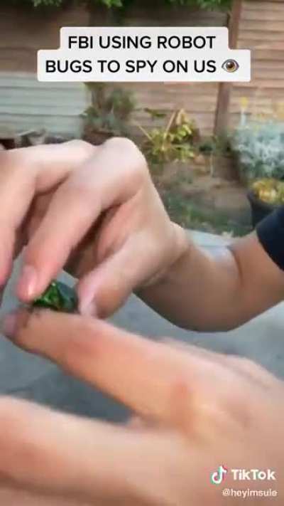 Isn't that a bug