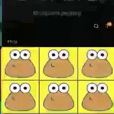 Based Poo