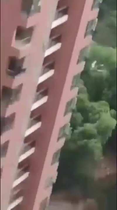 Troleo hermano