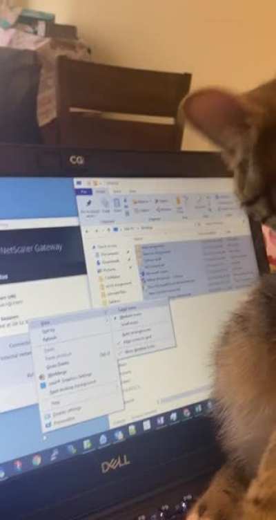 She was on my work laptop