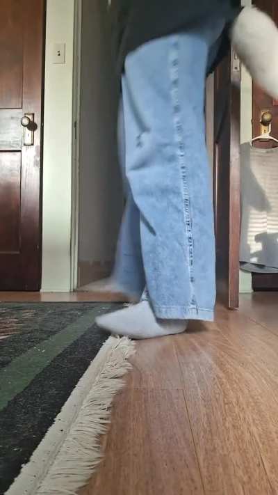 My trot after a 2-3 month hiatus + exercise. Critique/constructive criticism highly encouraged!