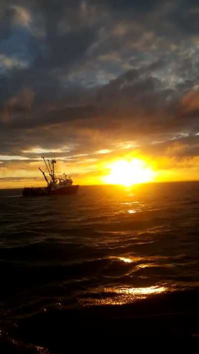 Bristol bay