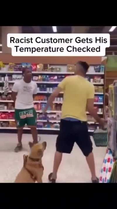 Even the dog is tired of his owner