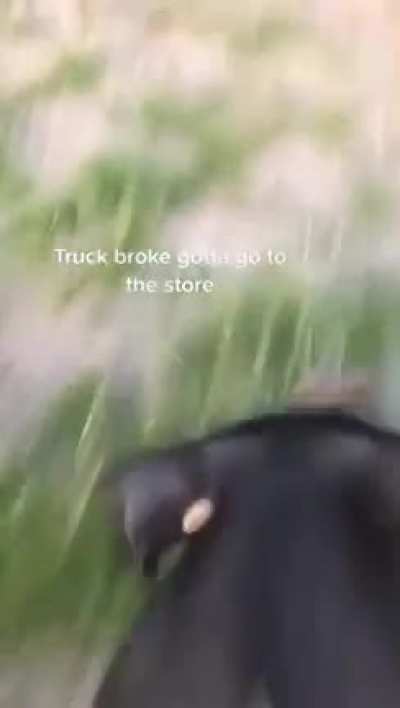 hogr