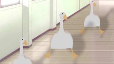 🦆 🦆 🦆