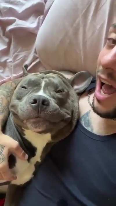 Smooches for dog