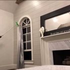 ratatouille