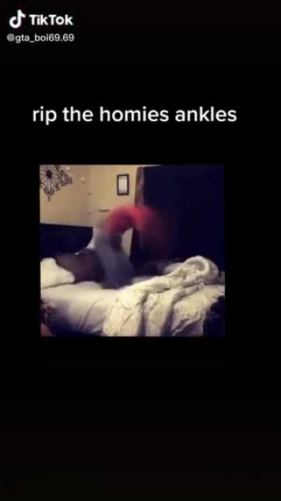 got sent this over discord