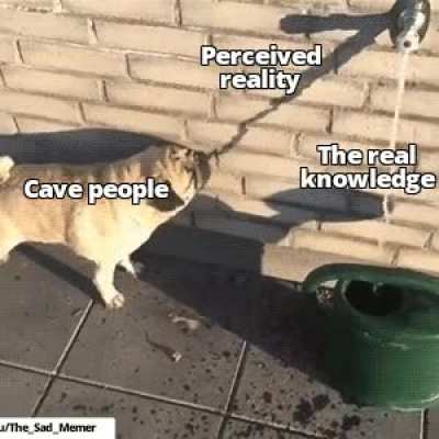 This meme will die
