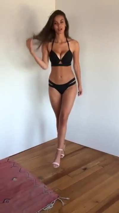 Nicola Cavanis