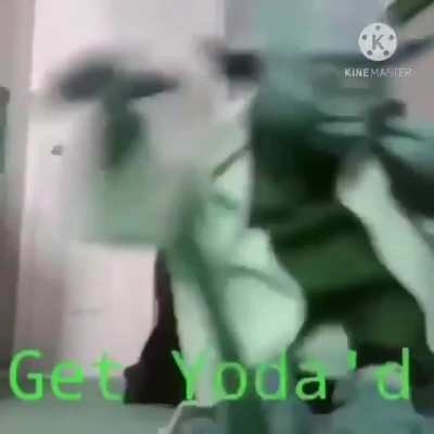 get