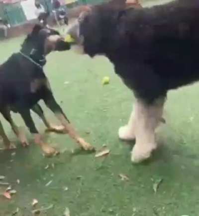 The big guy gets the ball, ofcourse