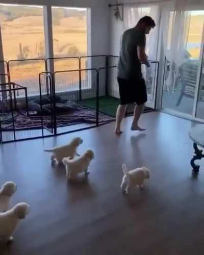 Follow the leader