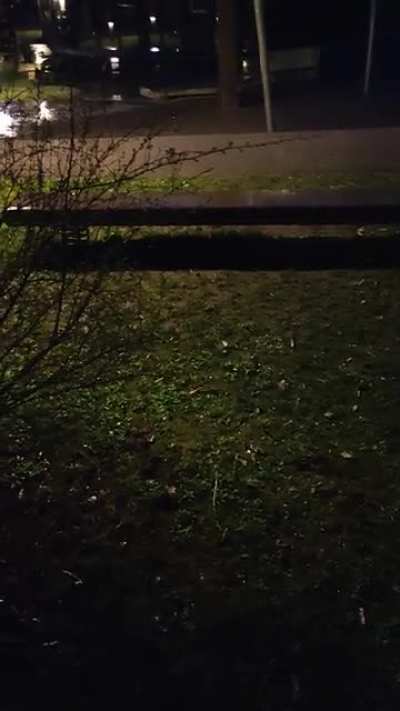 Rain > Snow