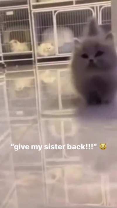 💔