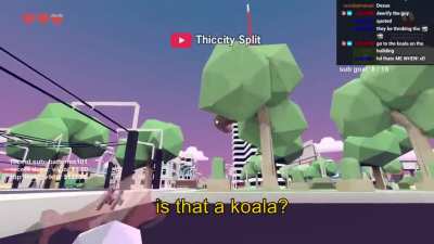 is that a koala?