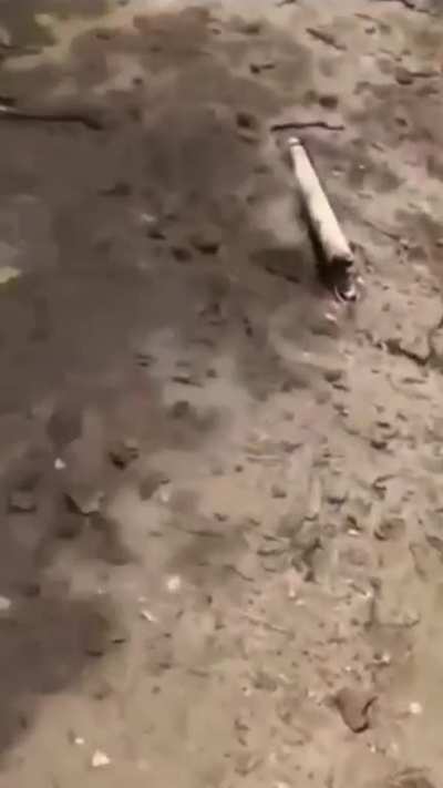 To dump debris on a PuertoRican beach