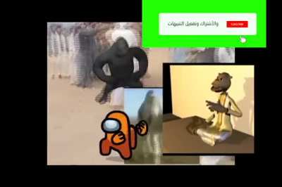 Camel weightlifting