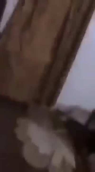 Israel is a terrorist state