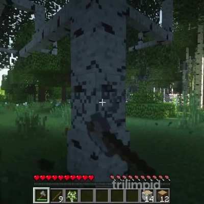 You play on your survival world and suddenly this guy appears, wyd?