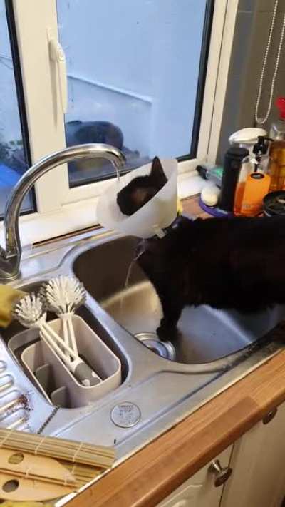 To drink water