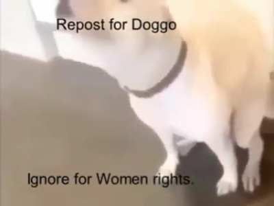 women 🤮