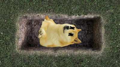 Doge My Liquor