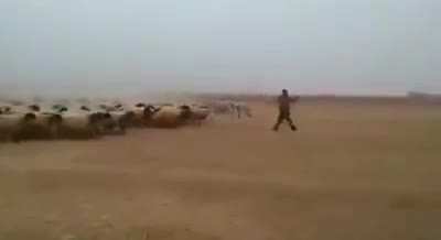 Secret footage of Pakistani army
