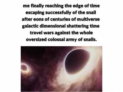 no time to snail