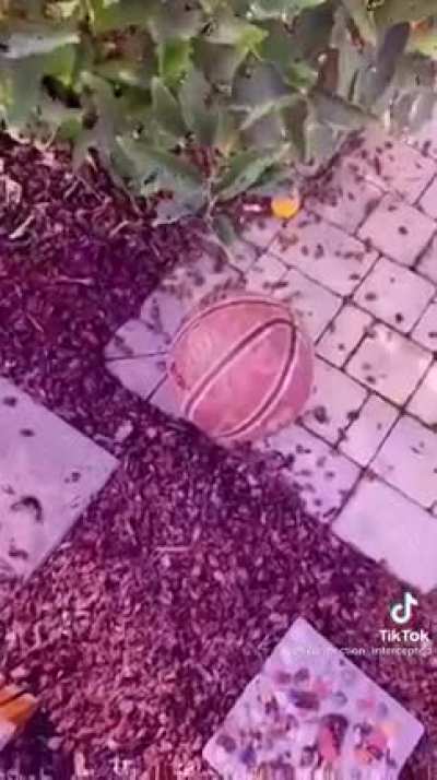 Confusión