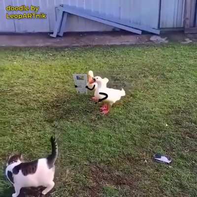 📸 Paparazzi Ducks 📸