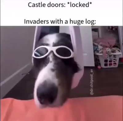 Log