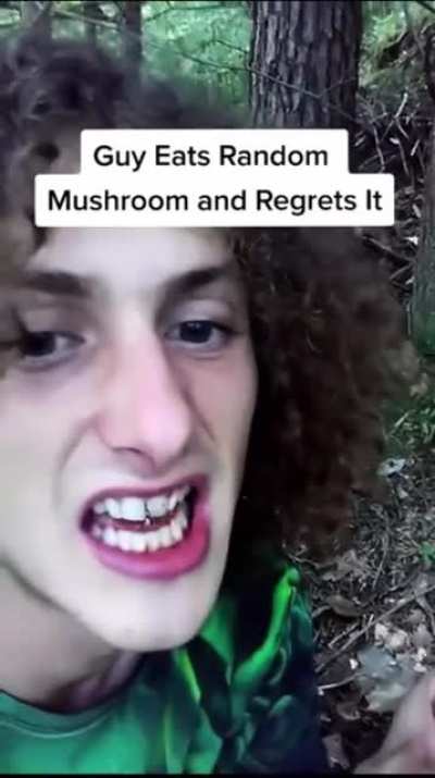 Forest Mushroom