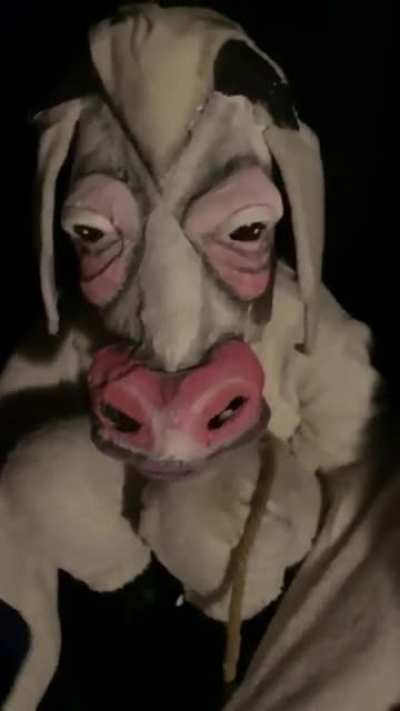 cursed_cow