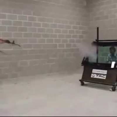 No penetration!