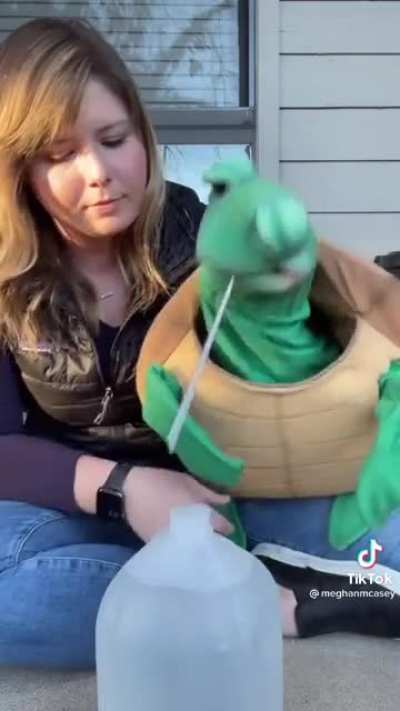 Save the turtles