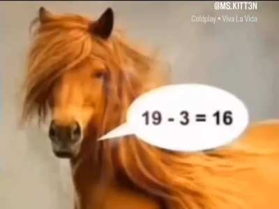 math hrose