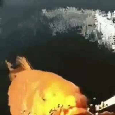 ¡!¡!