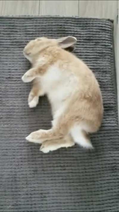 I just can't... the flop + air munching! ♡
