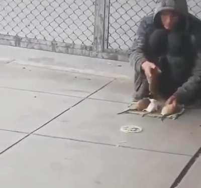 Rat Whisperer
