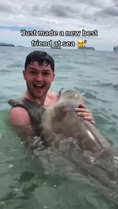 Sea puppy