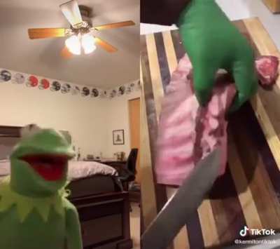 Poor kermit