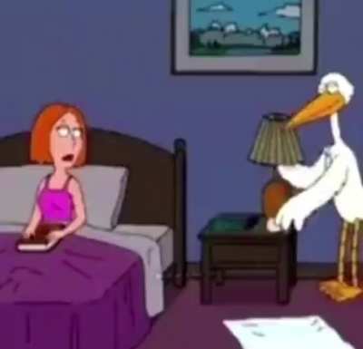 Stork