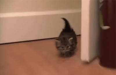 Oh lawd, he comin'