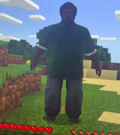 Gotta love the 5d skins in Minecraft,
