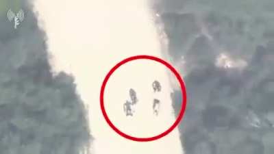 IDF executes Gazans