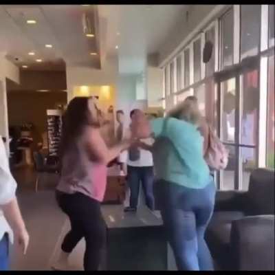 Cat fight