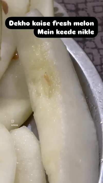 Melon bhi non veg hai fir? 🤓
